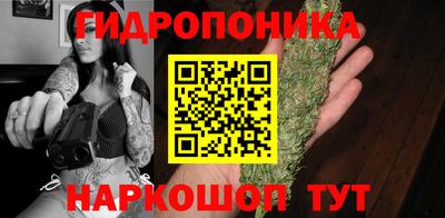 спайс Гусев